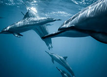 开云体育运营团队-【早报】弟媳破门切尔西大胜，热刺5天从榜首跌至第6